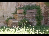 07135 ostia - regio i - insula xii - botteghe (i,xii,7) - laden an der nordseite - evtl treppe - suedwestecke - 06-2024.jpg